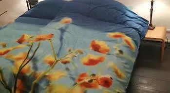 Hotel Spaarnedroom 3*